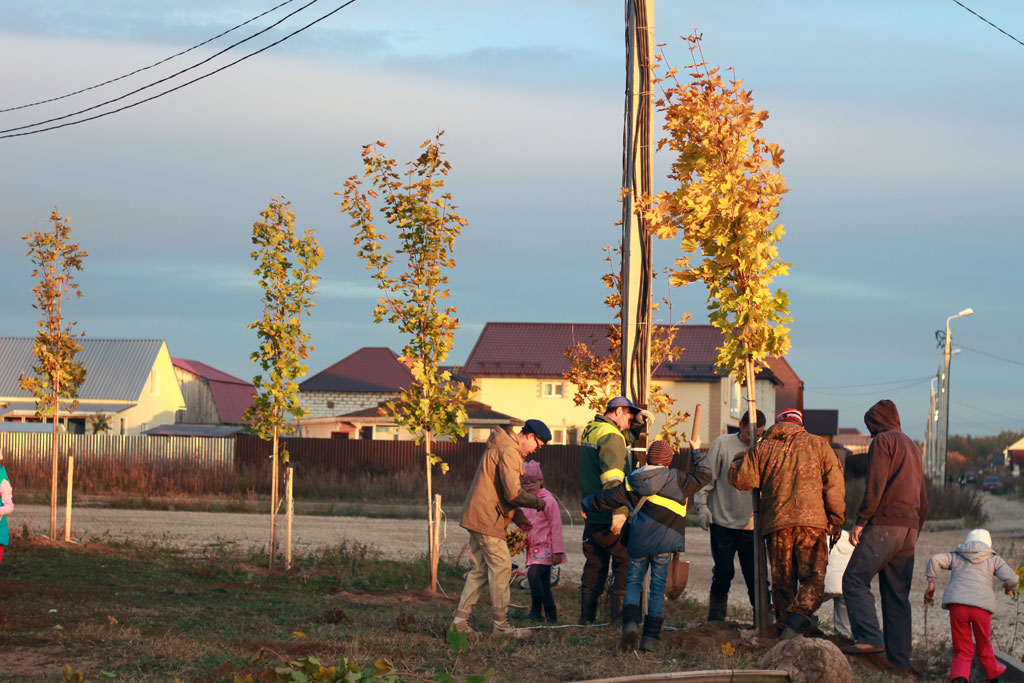 Во вторник, 9 октября, в малоэтажной застройке Яглово, состоялась массовая высадка деревьев. Саженцы остролистного клёна и липы были любезно предоставлены Городской управой города Калуги - учитывая наши Ягловские просторы было выделено почти 100 саженцев, каждому из которых было найдено место